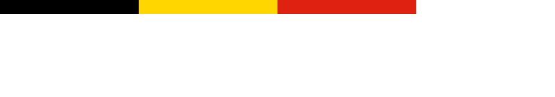 The Belgian Flag [Detail]